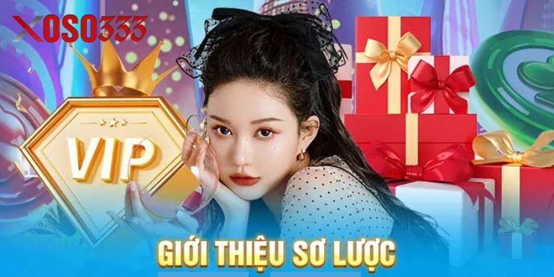 Giới thiệu về xoso333 - một số thông tin cơ bản