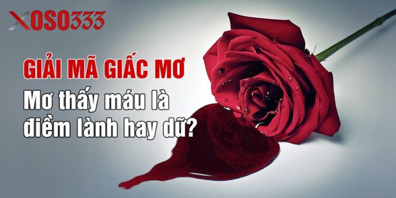 Hướng dẫn cách tra cứu sổ mơ lô đề tại Xoso333